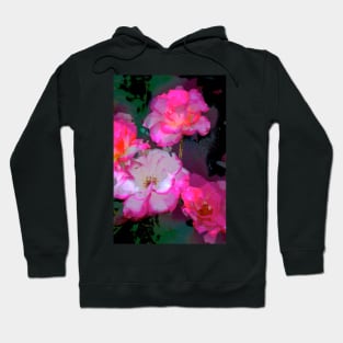 Rose 223 Hoodie